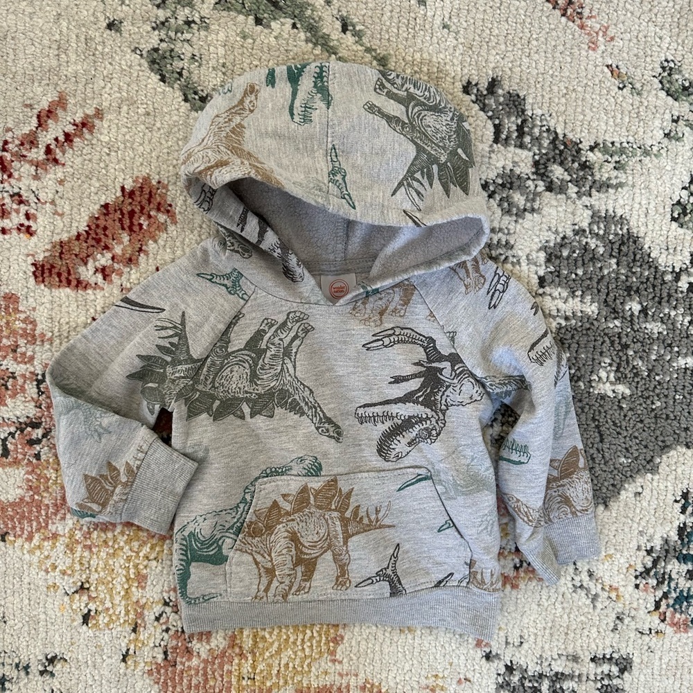 Wonder Nation 2T Toddler Boy Dinosaur Graphic Hoodie Sweatshirt 
Guc